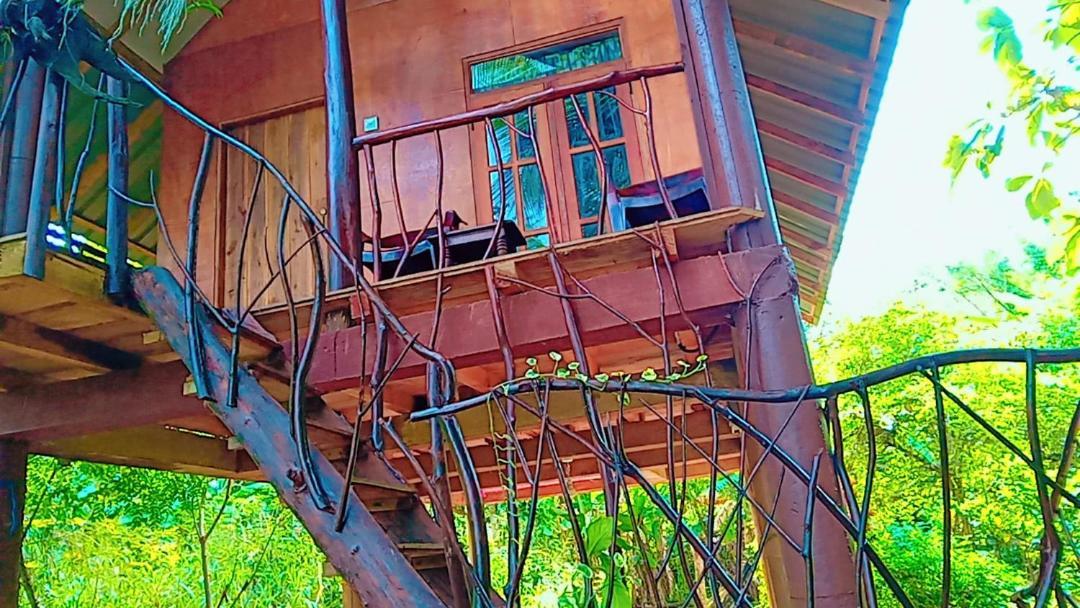 Sigiri Aliya Tree House Hotel Sigiriya Exterior foto