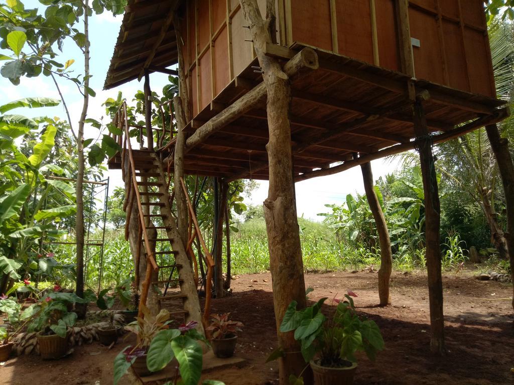 Sigiri Aliya Tree House Hotel Sigiriya Exterior foto
