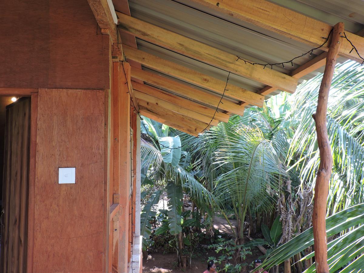Sigiri Aliya Tree House Hotel Sigiriya Exterior foto