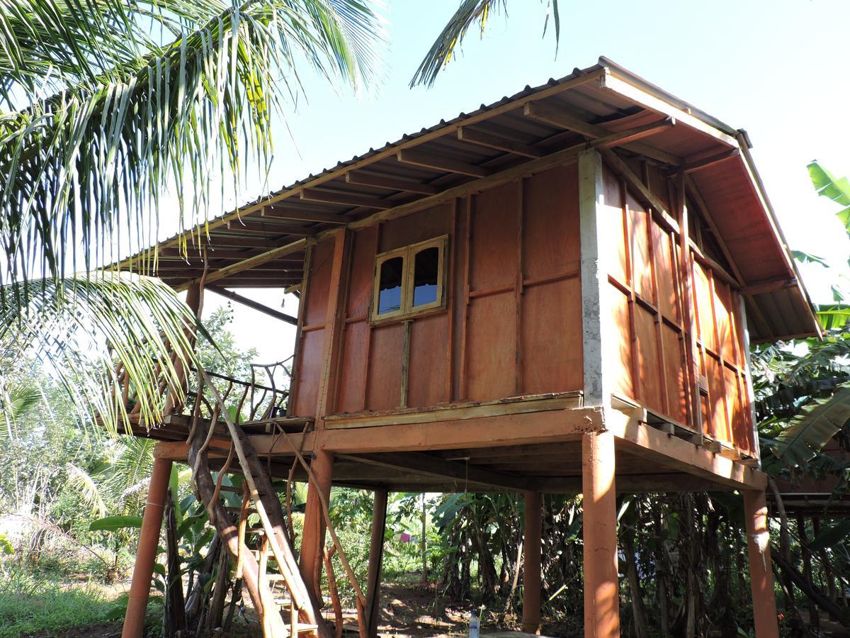 Sigiri Aliya Tree House Hotel Sigiriya Exterior foto