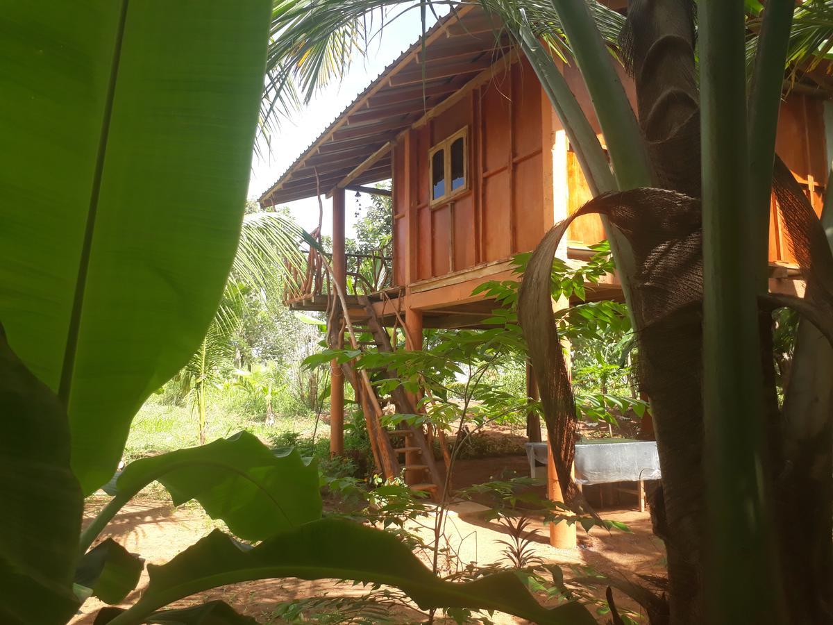 Sigiri Aliya Tree House Hotel Sigiriya Exterior foto