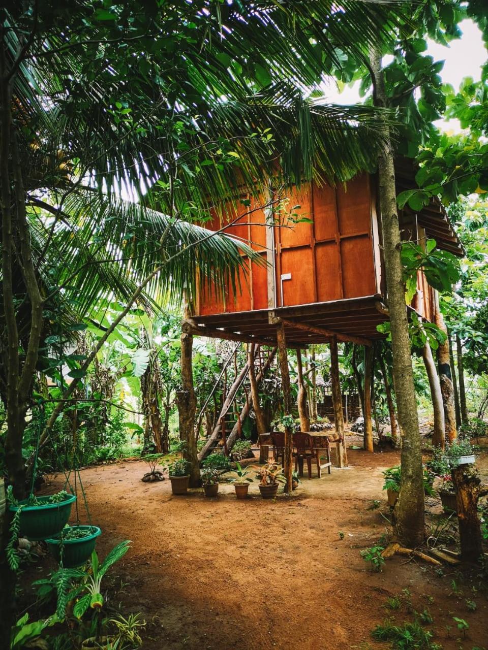 Sigiri Aliya Tree House Hotel Sigiriya Exterior foto
